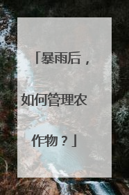 暴雨后，如何管理农作物？