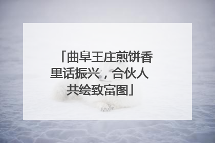 曲阜王庄煎饼香里话振兴,合伙人共绘致富图