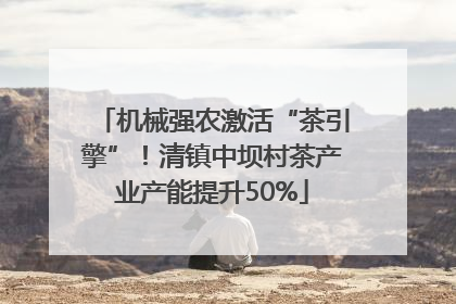 机械强农激活“茶引擎”！清镇中坝村茶产业产能提升50%