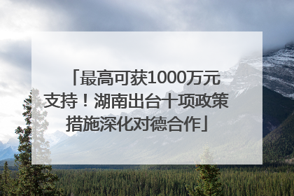 最高可获1000万元支持！湖南出台十项政策措施深化对德合作