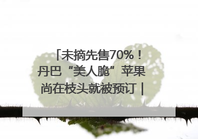 未摘先售70%！丹巴“美人脆”苹果尚在枝头就被预订｜长征路上看四川