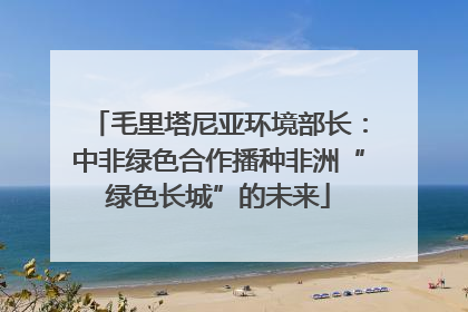 毛里塔尼亚环境部长：中非绿色合作播种非洲“绿色长城”的未来