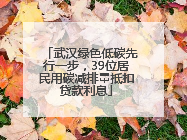 武汉绿色低碳先行一步，39位居民用碳减排量抵扣贷款利息