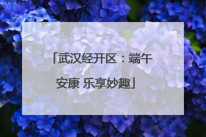 武汉经开区：端午安康 乐享妙趣