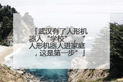 武汉有了人形机器人“学校”，“人形机器人进家庭，这是第一步”