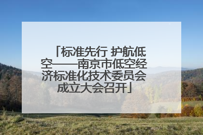 标准先行 护航低空——南京市低空经济标准化技术委员会成立大会召开