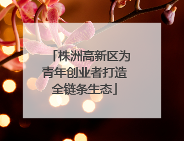 株洲高新区为青年创业者打造全链条生态