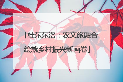 桂东东洛：农文旅融合绘就乡村振兴新画卷