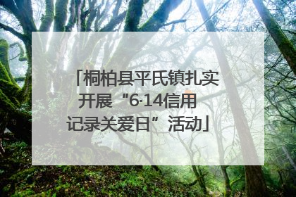桐柏县平氏镇扎实开展“6·14信用记录关爱日”活动