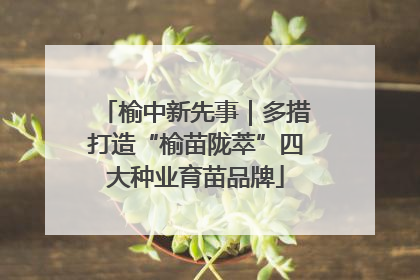 榆中新先事｜多措打造“榆苗陇萃”四大种业育苗品牌