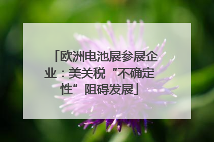 欧洲电池展参展企业：美关税“不确定性”阻碍发展