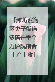 潍坊滨海区央子街道多措并举全力护航粮食丰产丰收