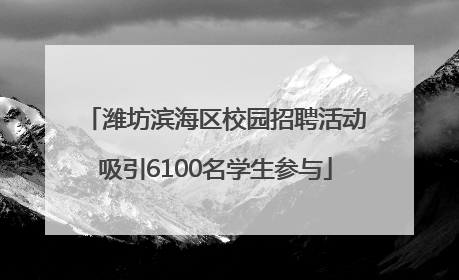 潍坊滨海区校园招聘活动吸引6100名学生参与