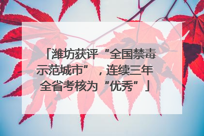 潍坊获评“全国禁毒示范城市”，连续三年全省考核为“优秀”