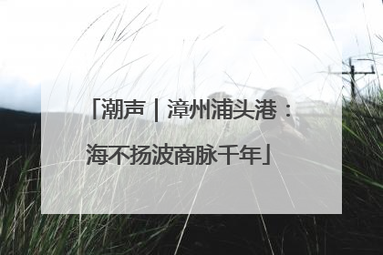 潮声｜漳州浦头港：海不扬波商脉千年