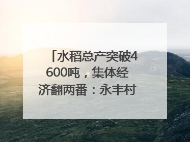水稻总产突破4600吨，集体经济翻两番：永丰村的三年蜕变｜您牵挂的四川