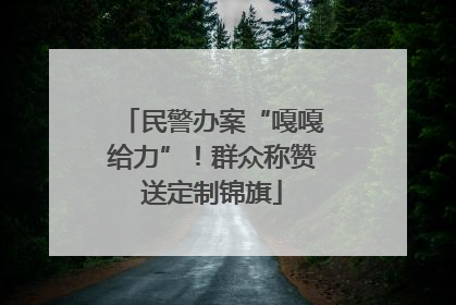 民警办案“嘎嘎给力”！群众称赞送定制锦旗