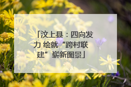 汶上县：四向发力 绘就“跨村联建”崭新图景