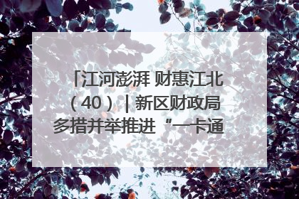 江河澎湃 财惠江北（40）｜新区财政局多措并举推进“一卡通”管理 保障惠民惠农补贴精准高效发放