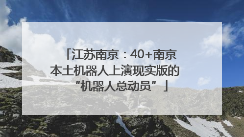 江苏南京：40+南京本土机器人上演现实版的“机器人总动员”