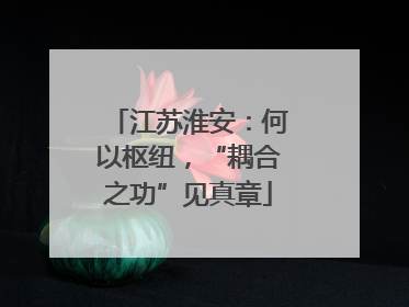 江苏淮安：何以枢纽，“耦合之功”见真章