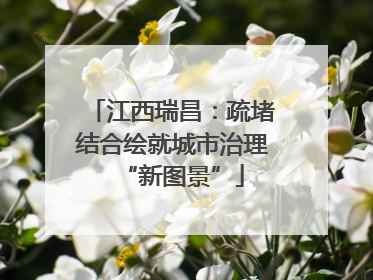 江西瑞昌：疏堵结合绘就城市治理“新图景”