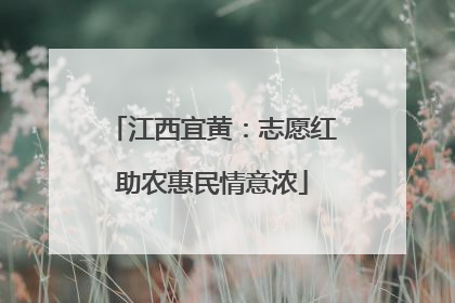 江西宜黄：志愿红助农惠民情意浓