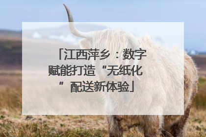 江西萍乡：数字赋能打造“无纸化”配送新体验