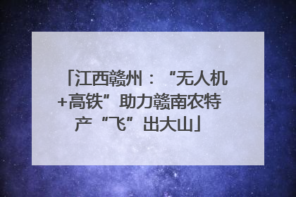 江西赣州：“无人机+高铁”助力赣南农特产“飞”出大山