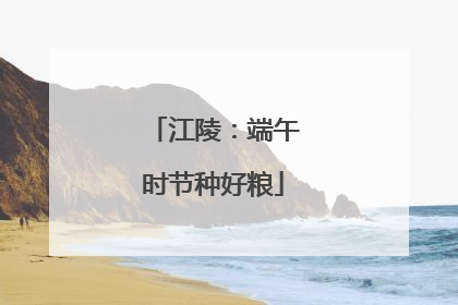 江陵：端午时节种好粮