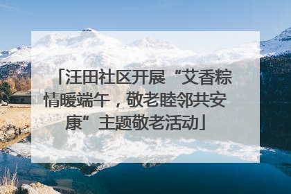 汪田社区开展“艾香粽情暖端午，敬老睦邻共安康”主题敬老活动