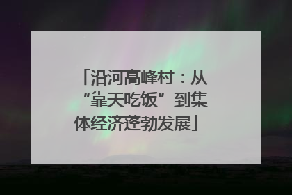 沿河高峰村：从“靠天吃饭”到集体经济蓬勃发展