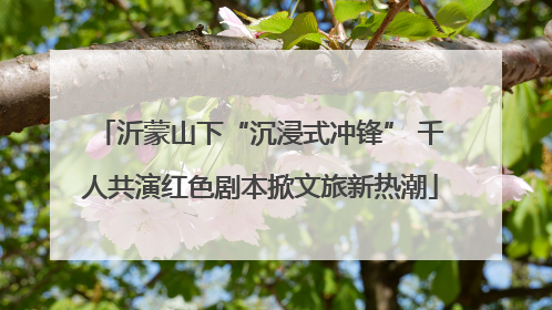 沂蒙山下“沉浸式冲锋” 千人共演红色剧本掀文旅新热潮