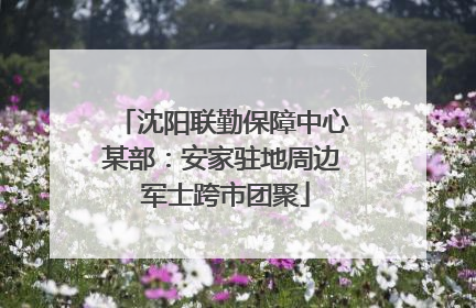 沈阳联勤保障中心某部：安家驻地周边 军士跨市团聚