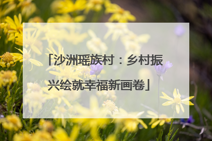沙洲瑶族村：乡村振兴绘就幸福新画卷