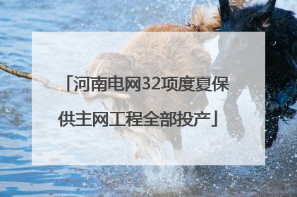 河南电网32项度夏保供主网工程全部投产