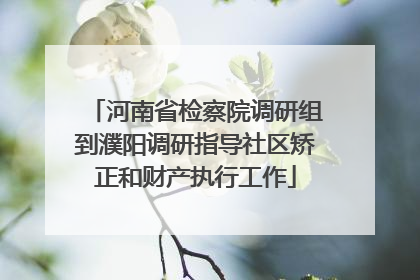 河南省检察院调研组到濮阳调研指导社区矫正和财产执行工作