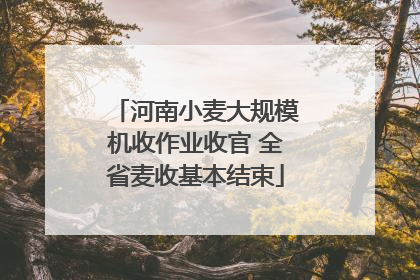 河南小麦大规模机收作业收官 全省麦收基本结束