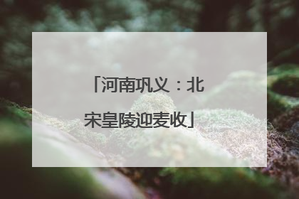河南巩义：北宋皇陵迎麦收