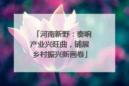 河南新野：奏响产业兴旺曲，铺展乡村振兴新画卷