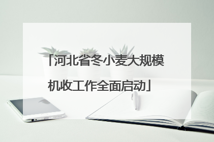 河北省冬小麦大规模机收工作全面启动