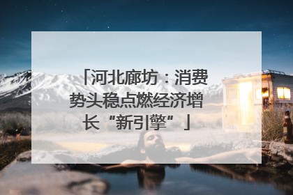 河北廊坊：消费势头稳点燃经济增长“新引擎”