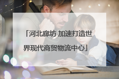 河北廊坊 加速打造世界现代商贸物流中心