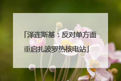 泽连斯基：反对单方面重启扎波罗热核电站