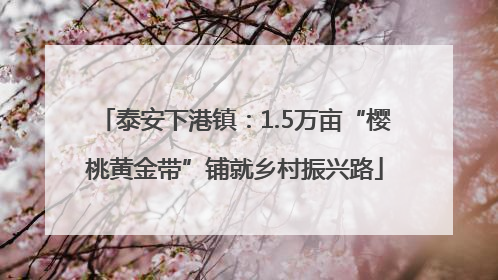 泰安下港镇：1.5万亩“樱桃黄金带”铺就乡村振兴路