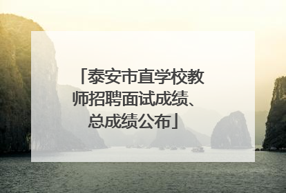 泰安市直学校教师招聘面试成绩、总成绩公布