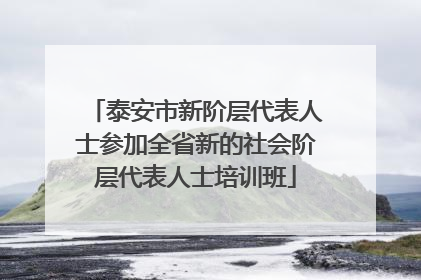 泰安市新阶层代表人士参加全省新的社会阶层代表人士培训班