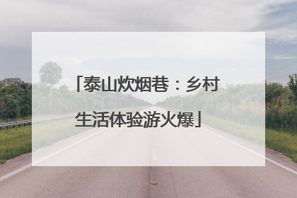 泰山炊烟巷：乡村生活体验游火爆