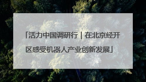 活力中国调研行｜在北京经开区感受机器人产业创新发展