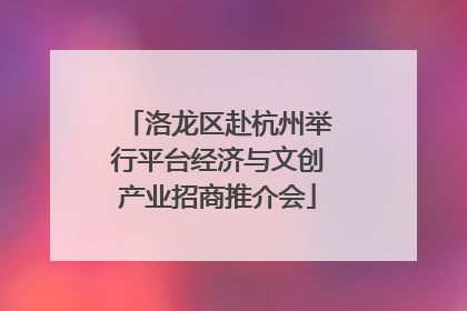 洛龙区赴杭州举行平台经济与文创产业招商推介会